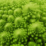 broccoli romanesco