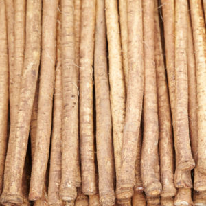 Burdock Root Strengthener