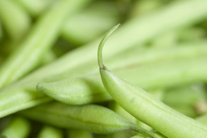 Lacto-Brined Beans