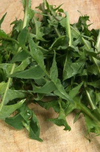 Dandelion Salad with Warm Hazelnut Vinaigrette