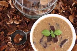 WILD MUSHROOM SOUP