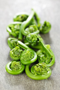 Oven-Roasted Fiddlehead Ferns