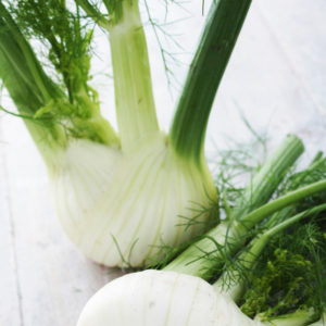 Fennel and Apple Salad